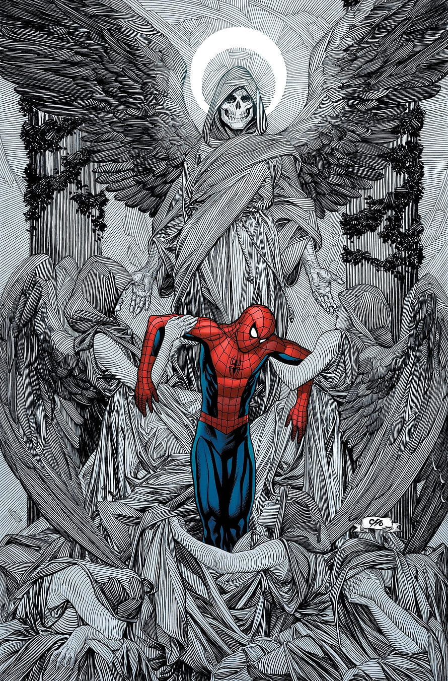 Spider-Man Standing Before a Skeletal Angel in Intricate Black and White Comic Art, spiderman marvel comics High Quality, Spiderman Art HD phone wallpaper