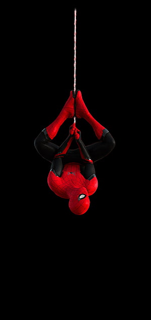 Spider-Man Hanging Upside Down on Web Against Black Background, Galaxy Note 10 Plus [Hide Camera], Dot Notch HD phone wallpaper