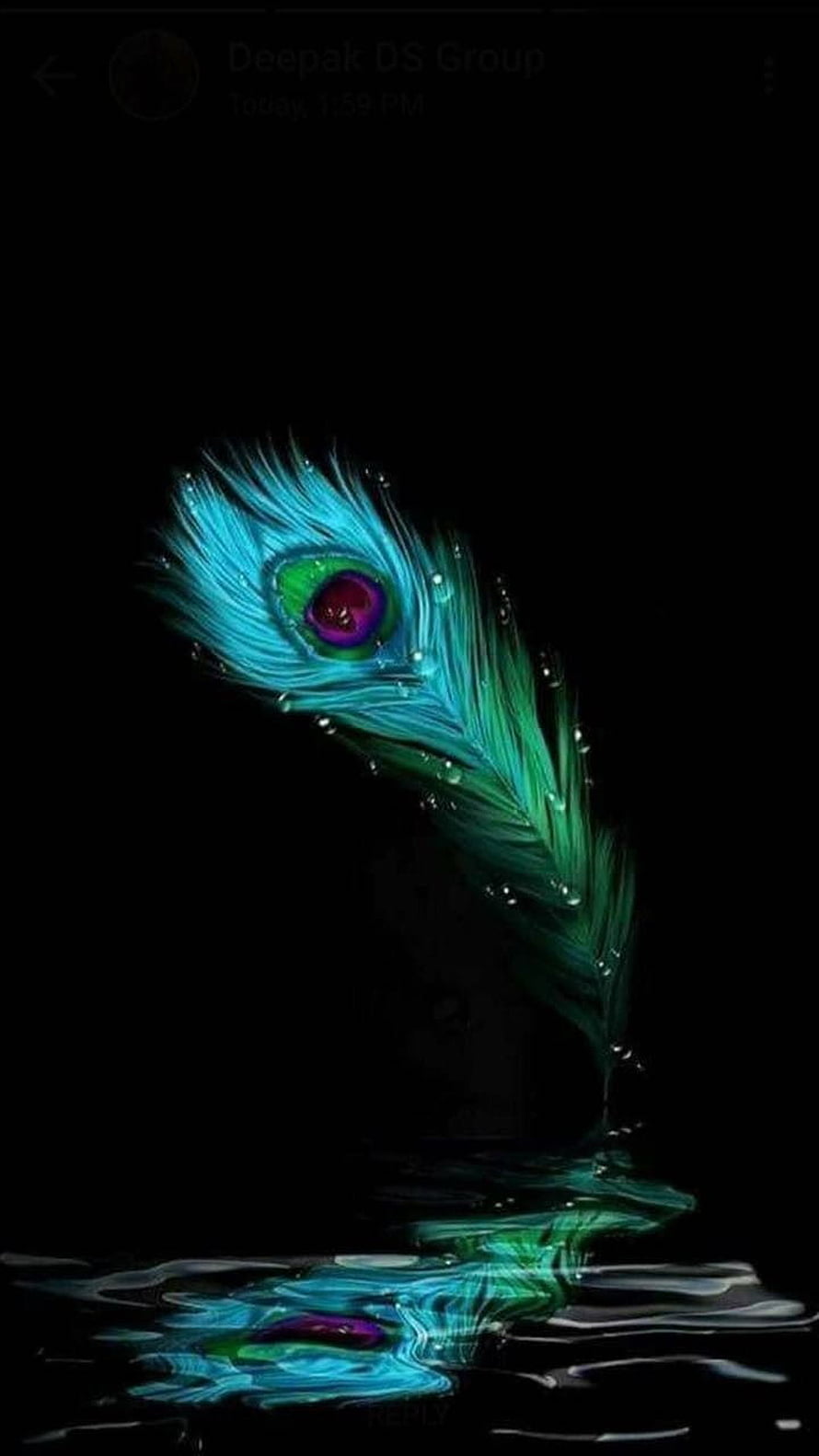 Vibrant Peacock Feather Floating on Dark Water with Reflection HD phone wallpaper