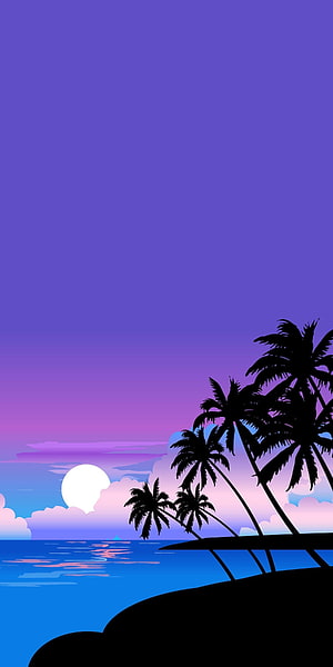 Tropical Sunset Silhouette Wallpaper with Palm Trees and Ocean View HD phone wallpaper