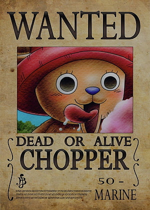 One Piece Chopper Wanted Poster with Red Straw Hat and Candy HD phone wallpaper