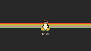 Gruvbox Linux Tux Penguin with Rainbow Stripes on Dark Background HD wallpaper