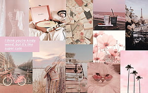 Pastel Pink Aesthetic Collage Featuring Vintage Items, Flowers, and Parisian Scenery HD wallpaper