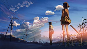 Two Anime Characters Standing in a Field at Sunset with Power Lines and Clouds HD wallpaper