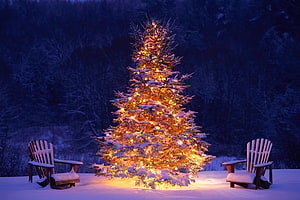 Snowy Christmas Tree with Warm Lights and Adirondack Chairs in Winter Night HD wallpaper
