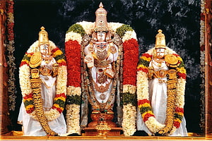 Traditional Hindu Deities Adorned with Gold Jewelry and Flower Garlands HD wallpaper