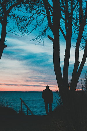 Silhouette of a man standing alone by the water at dusk beneath bare trees, Alone, Sunset, Dark, Silhouette, Sadness, Man, Lonely, Sorrow HD phone wallpaper