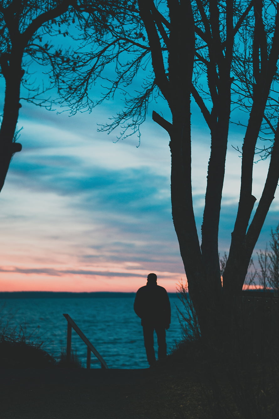 Silhouette of a man standing alone by the water at dusk beneath bare trees, Alone, Sunset, Dark, Silhouette, Sadness, Man, Lonely, Sorrow HD phone wallpaper