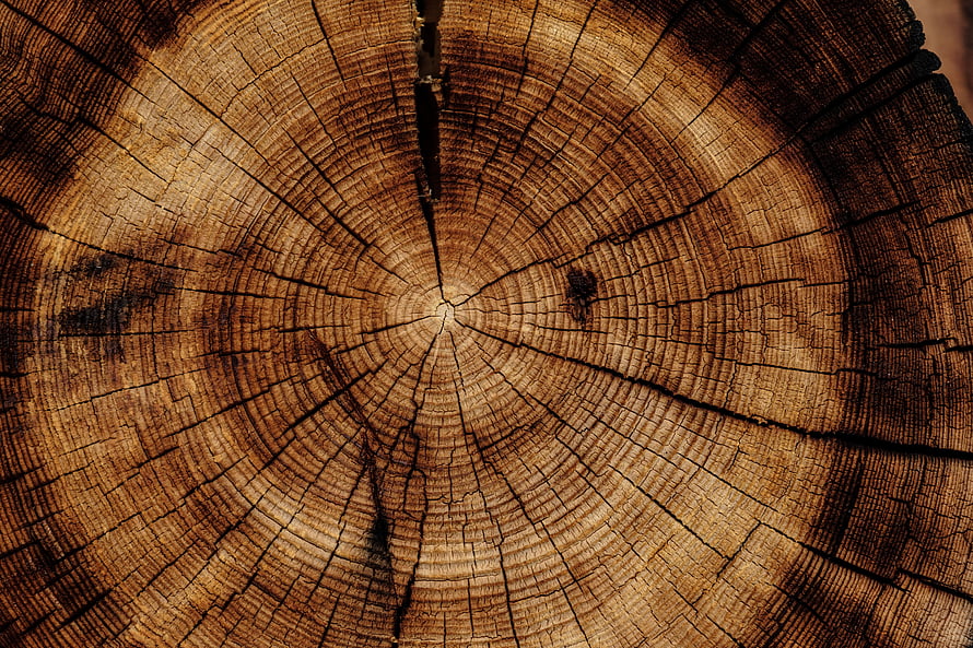 Close-Up Texture of Aged Tree Stump with Concentric Growth Rings and Deep Cracks HD wallpaper