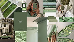 Sage Green Aesthetic Mood Board Featuring Nature, Fashion, and Interior Design Elements HD wallpaper