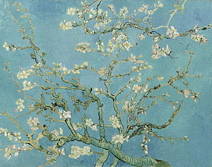 Vincent van Gogh Almond Blossom Oil Painting with White Flowers on Blue Background HD wallpaper
