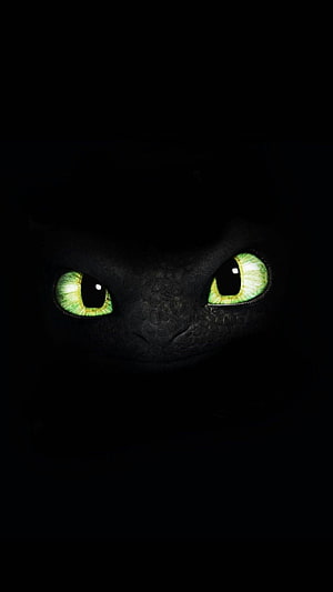 Toothless Night Fury Dragon Eyes in Darkness HD phone wallpaper