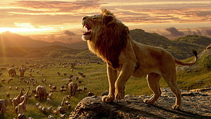Majestic Male Lion Roaring on Rocky Outcrop Overlooking African Savanna Wildlife at Sunset HD wallpaper