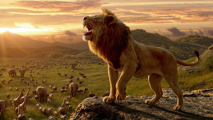 Majestic Male Lion Roaring on Rocky Outcrop Overlooking African Savanna Wildlife at Sunset HD wallpaper