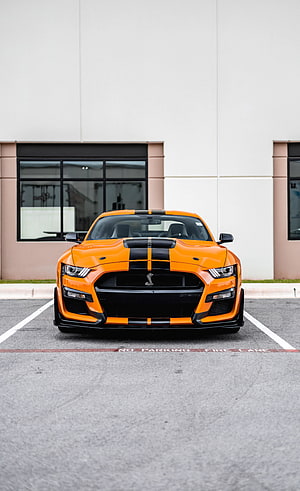 Orange Ford Mustang Shelby GT500 with Black Racing Stripes Front View HD phone wallpaper