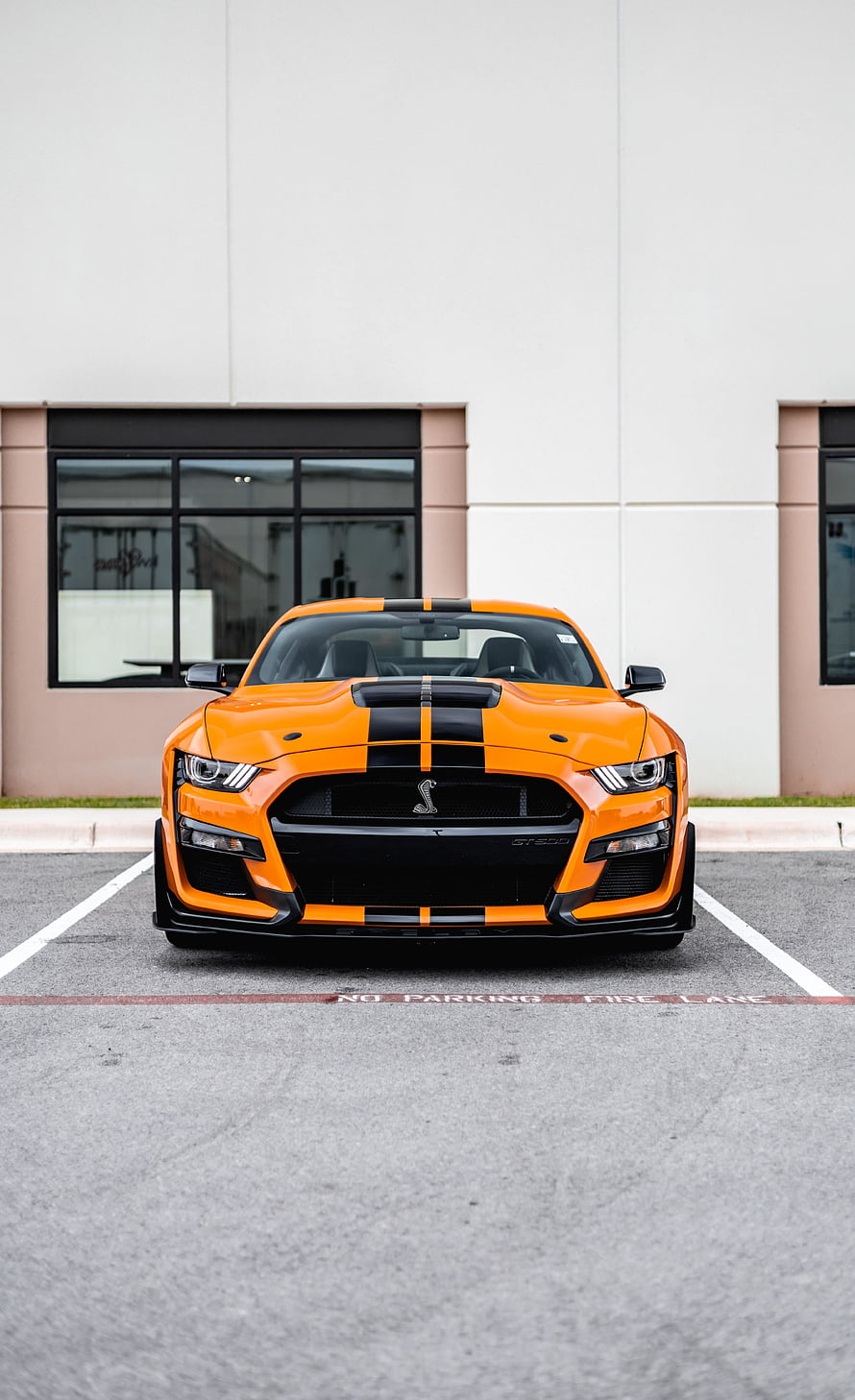 Orange Ford Mustang Shelby GT500 with Black Racing Stripes Front View HD phone wallpaper