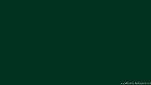 Minimalist Solid Dark Green Color Background for Desktop HD wallpaper