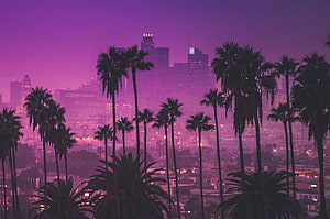 Los Angeles Skyline at Dusk with Palm Trees in a Purple Synthwave Aesthetic HD wallpaper