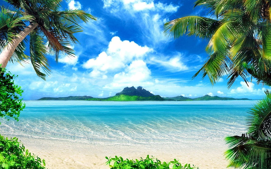 Tropical Beach Landscape With Palm Trees And Distant Mountain Island HD wallpaper