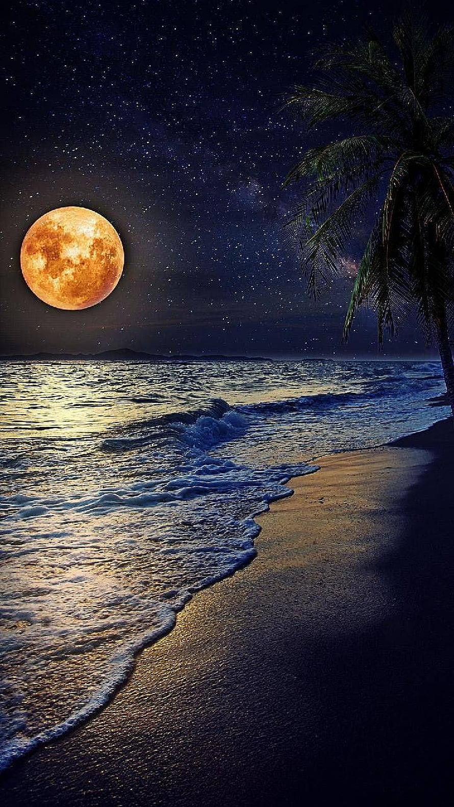 Full Moon Over Tropical Beach with Palm Tree and Starry Night Sky HD phone wallpaper