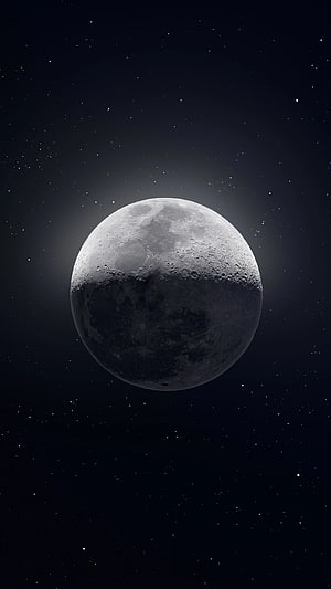Realistic Half Moon Phase in Deep Space with Craters and Starry Background HD phone wallpaper