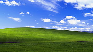 Bliss Windows XP Default Desktop Wallpaper Green Hill Blue Sky HD wallpaper