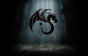 Kali Linux Dragon Logo on Dark Smoky Background with Wooden Floor HD wallpaper
