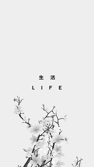 Minimalist Black and White Cherry Blossom Branches With Life Text HD phone wallpaper