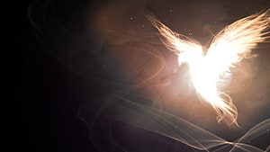 Luminous Ethereal Wings Radiating Golden Light Against Dark Background HD wallpaper
