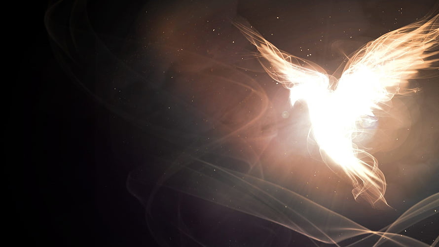 Luminous Ethereal Wings Radiating Golden Light Against Dark Background HD wallpaper