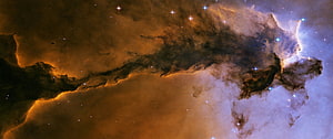 Stunning Horsehead Nebula Space Wallpaper Featuring Dark Dust Clouds and Glowing Stars HD wallpaper